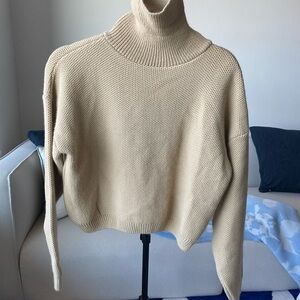 Cozy Beige Turtleneck Sweater set